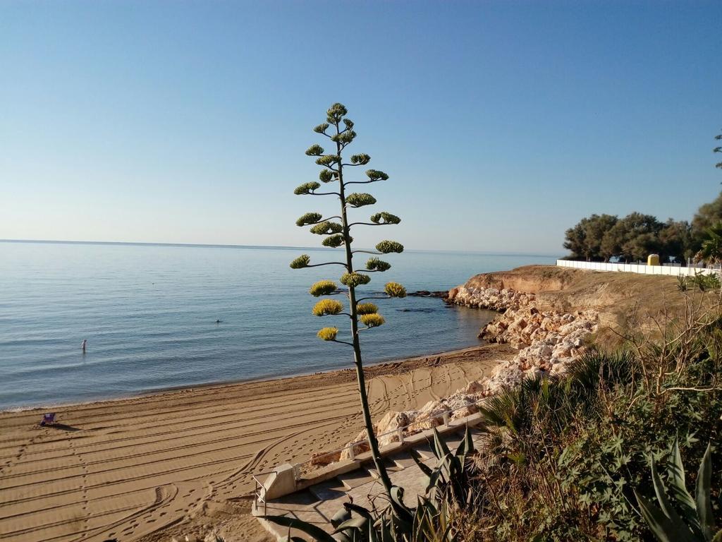 אבולה Villa Del Mar מראה חיצוני תמונה