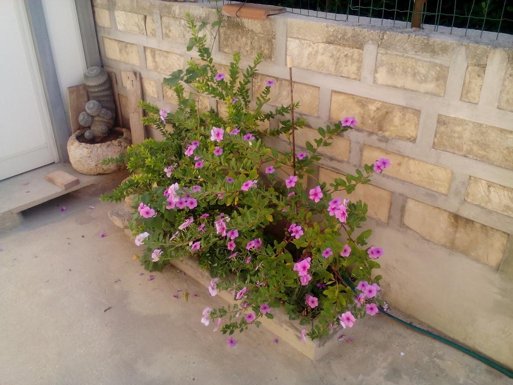אבולה Villa Del Mar מראה חיצוני תמונה